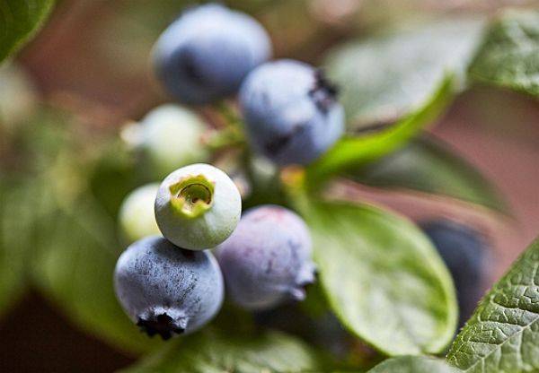 ⓒ게티이미지뱅크