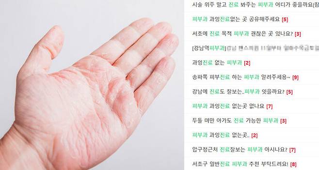 온라인에서는 강남구 내 피부질환 진료가 가능한 병원을 추천해달라거나 관련 진료를 보는 타 과목 의원 정보를 공유하는 글을 쉽게 볼 수 있었다. 클립아트코리아 제공, 강남3구맘 육아카페 게시글 갈무리