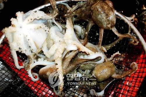 주꾸미 [연합뉴스 자료 사진]