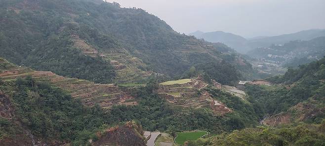 바나우에 전망대에서 내려다 본 계단식 논(Rice Terraces).