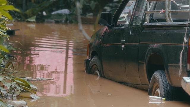 (출처=모션엘리먼츠)