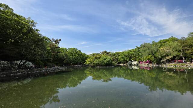 대춘당지에서는 '물빛연화' 미디어아트가 진행돼 예약 없이도 관람이 가능하다.(사진=지디넷코리아)