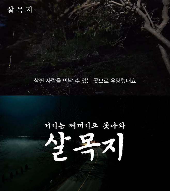 충남 예산군 공식 유튜브 채널의 ‘예산군 광시면에 살목지 있는 거 아세요?’(위)와 한국수자원공사 공식 유튜브 채널의 ‘살목지, 거기는 찌꺼기도 못 나와’(아래) 영상 캡처. 두 기관 모두 영화 '살목지'를 재치 있게 패러디하며 화제를 모았다. 사진 유튜브 지자체 패러디 영상 캡처