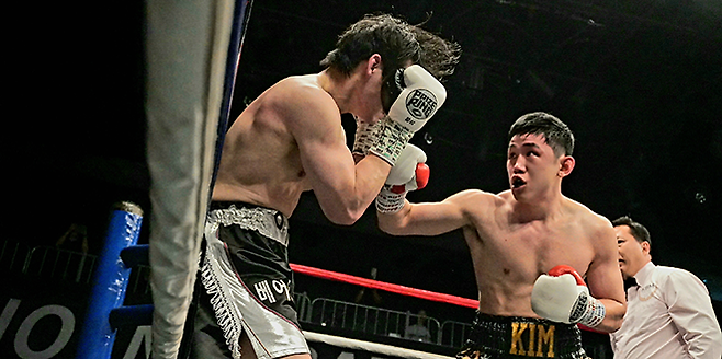 2026년 4월 서울특별시 강남구 섬유센터 이벤트홀 특설링 KBM 라이트헤비급 챔피언결정전 2라운드 이규현한테 다운을 뺏은 것에 만족하지 않고 승리를 확정 짓기 위해 몰아붙이는 김용욱. 사진=한국복싱커미션