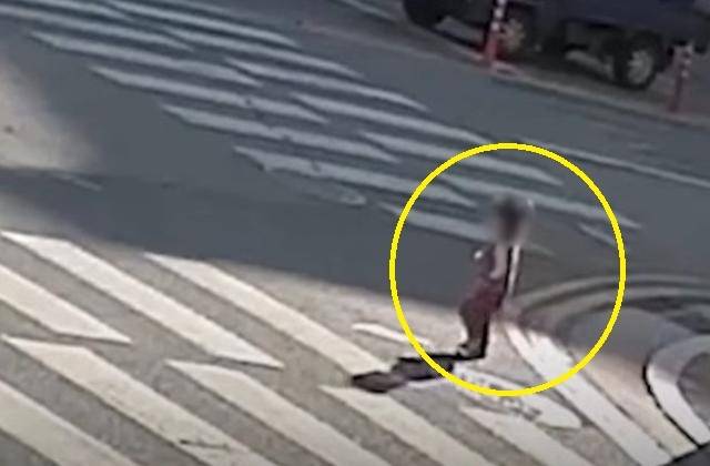 지난달 13일 경남 창원시 진해구의 한 주택가에서 집을 나온 A(2)양이 빨간 불에 신호등을 건너고 있다. 경찰청 유튜브