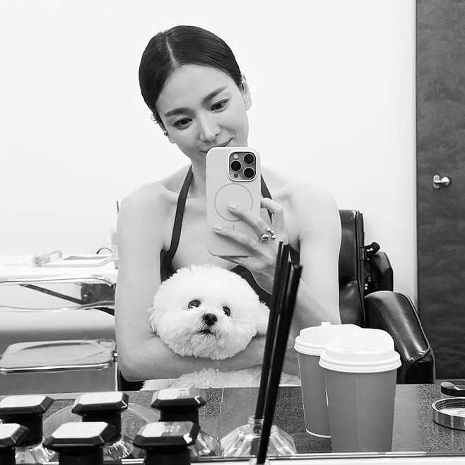 송혜교 소셜미디어