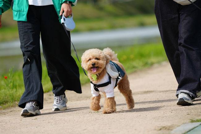 [사진] 전북현대모터스FC 제공