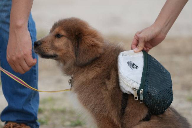 [사진] 전북현대모터스FC 제공
