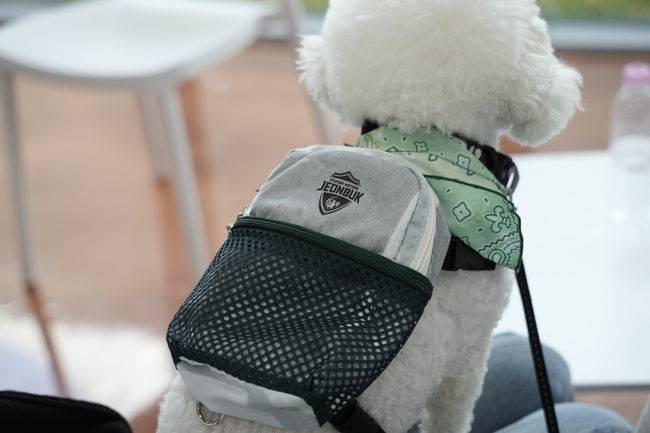 [사진] 전북현대모터스FC 제공