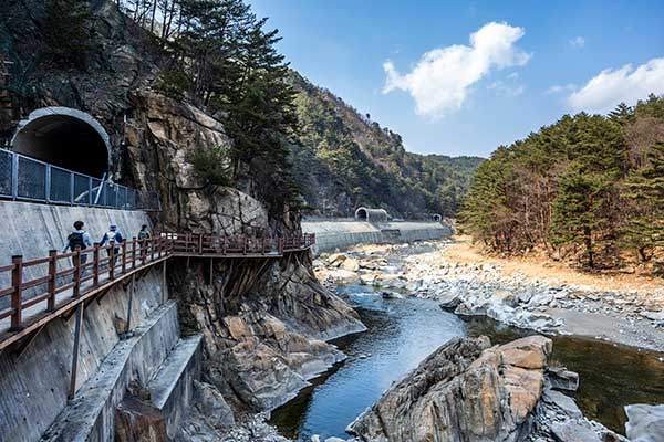 양원역에서 승부역으로 올라가는 동서트레일은 시종일관 영동선과 기찻길을 양옆에 끼고 걷는다. 운치와 낭만이 공존한다.