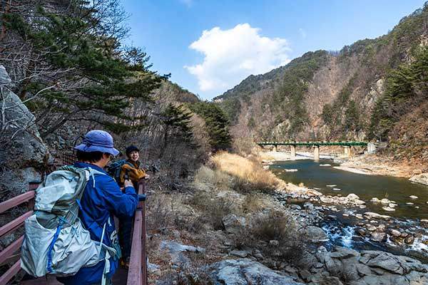 동서트레일을 걷던 중 멀리 영동선이 지나는 철교를 바라보고 있다.