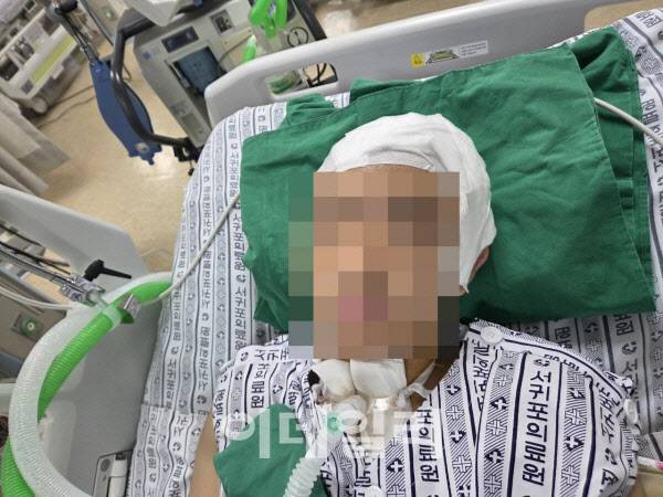 사진=피해 학생 학부모 제공