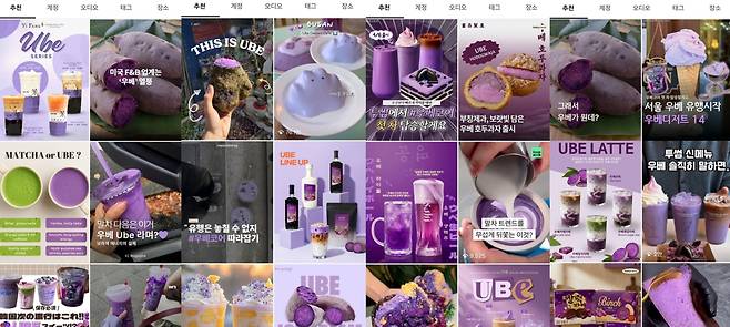 인스타그램에 올라와 있는 우베 음료·디저트 관련 게시물. /인스타그램 캡처 갈무리