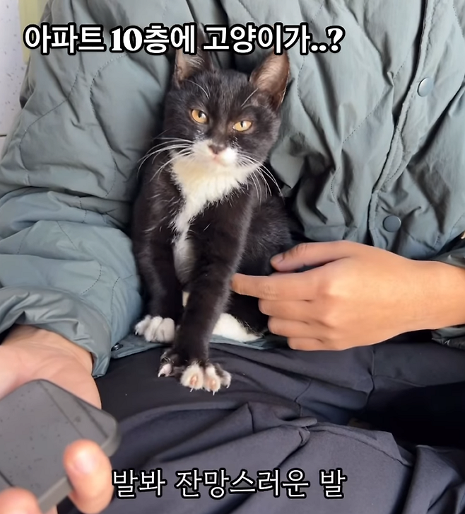 텐이와의 첫만남. 보호자 제공