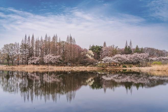 김제 시민문화체육공원(사진=이효태)