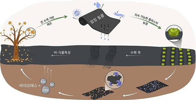 카이스트 연구진이 낙엽을 이용해 만든 생분해성 농업용 비닐 현장 적용 개요도. 카이스트 제공