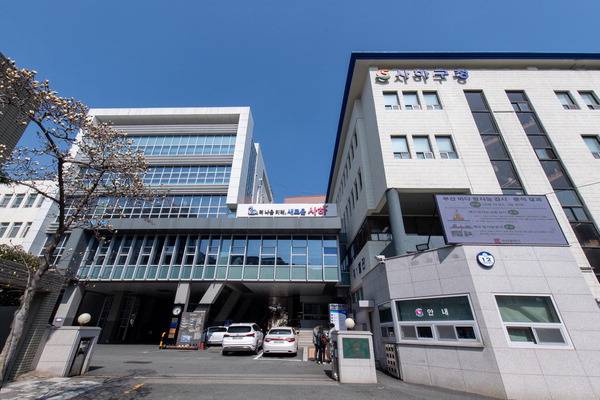 부산 사하구청 전경. 국제신문DB