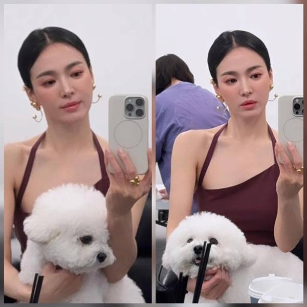 사진=송혜교 SNS