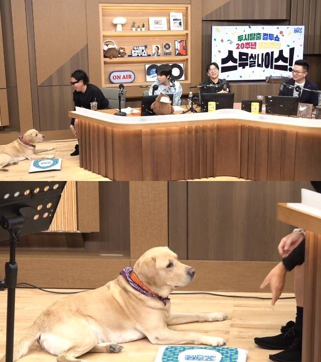 정재형, 정승환, 이적, 김태균 (SBS 파워FM ‘두시탈출 컬투쇼’ 캡처)