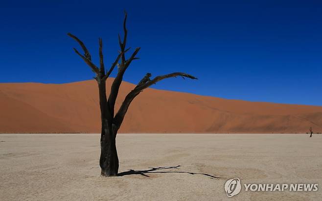 나미브 사막 [신화 연합뉴스 자료사진. 재판매 및 DB 금지]