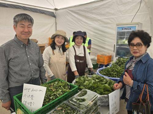 ◇제8회 홍천 산나물 축제장에 참여한 농가들. 사진=신하림기자