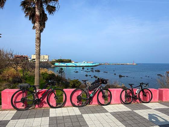 The seafront just north of Jeju International Airport provides the first photo opportunity on April 3. [JIM BULLEY]