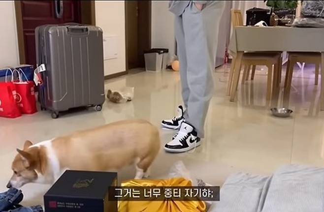 요즘 온라인상에서 쉽게 볼 수 있는 ‘중티’란 단어는 ‘중국 티 난다’의 줄임말이다. 이 표현은 한·중 커플 크리에이터 ‘여단오’의 영상에서 비롯됐다. 해당 영상 갈무리