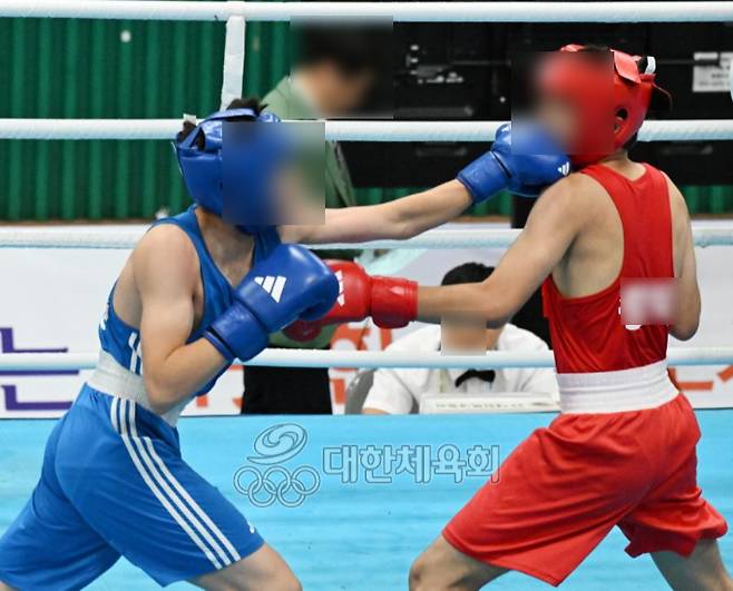 소년체전에서 복싱 경기를 벌이고 있는 학생 선수들. 기사 내용과 관계 없음. 대한체육회 자료 사진