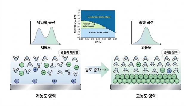 전기 이중층 구조 변화로 나타나는 '낙타형→종형' 곡선 전이. 그림=카이스트 제공