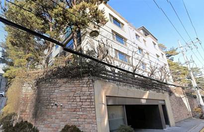 4월 27일부터 5월 1일까지 서울시 주거 매물 실거래가 집계 결과 주간 실거래가 1위를 차지한 강남구 청담동 청담로얄카운티 전경. 사진=네이버지도 캡처