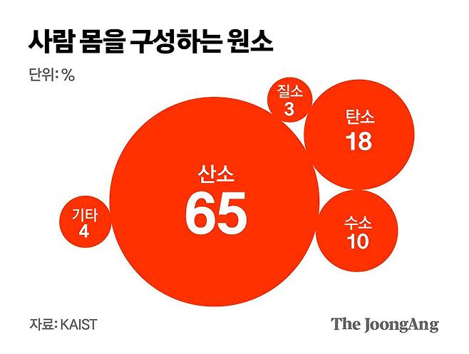김영옥 기자