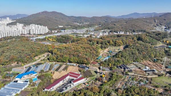 오전·왕곡지구 전경.