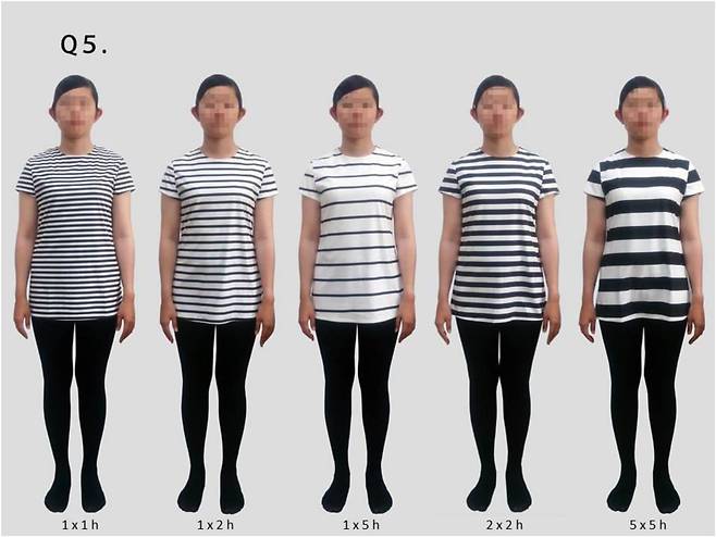 선과 여백의 너비가 각각 1㎝, 2㎝인 1X2h 가로 줄무늬 상의를 입은 모델이 가장 날씬하게 보이는 것으로 나타났다./i-Perception