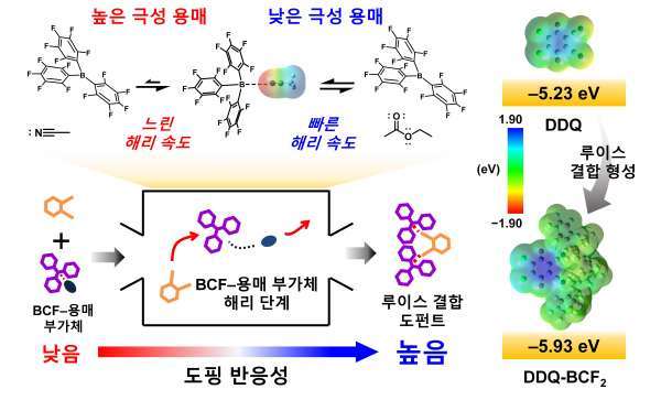 용매의 극성에 따른 루이스 페어 도펀트의 형성 메커니즘