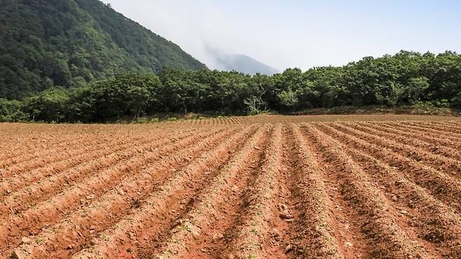 폐암 세포가 자라기 전, 먼저 주변 환경을 암이 자라기 좋은 환경으로 바꾼다는 사실이 밝혀졌다｜출처: 클립아트코리아