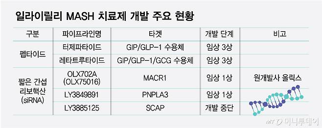 일라이릴리 MASH 치료제 개발 주요 현황/그래픽=최헌정