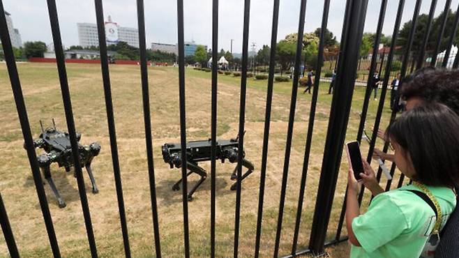 2022년 용산 대통령실과 맞닿은 용산공원을 찾은 시민이 고스트로보틱스의 로봇개를 보고 있다.