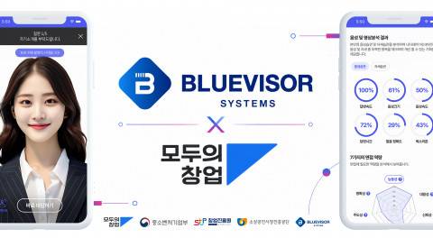 블루바이저시스템즈