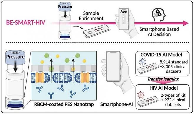 BE-Nanotrap 기반 타액 내 HIV-1 항체 특이적 전처리 모듈과 스마트폰 앱 AI 기반 LFA 융합 플랫폼(BE-SMART-HIV)을 개발하고, COVID-19 LFA 대규모 학습데이터 전이학습을 통해 HIV 진단 정확도를 향상. 연구팀 제공