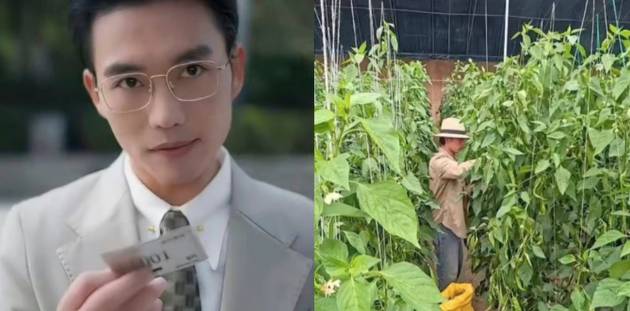중국에서 '재벌 2세 전문 배우'로 이름을 알렸던 한 숏폼 드라마 배우가 인공지능(AI) 확산 여파로 일자리를 잃고 농부로 전향한 사연이 화제를 모으고 있다. 사진은 장샤오레이의 배우 때 모습(왼쪽)과 현재 모습. [사진=웨이보 갈무리 ]