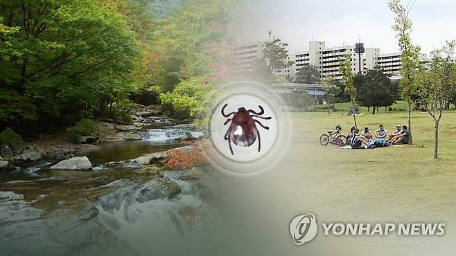 [연합뉴스TV 제공] ※ 기사와 직접 연관이 없는 사진입니다.