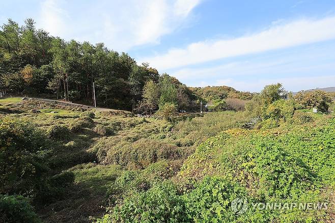 부동산 거래유도 목적으로 SNS서 허위사실 유포시 1년 이하 징역 [연합뉴스 자료사진]