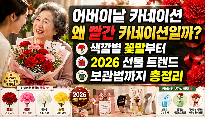 어버이날 카네이션 왜 빨간 카네이션일까 색깔별 꽃말부터 2026 선물 트렌드 보관법까지