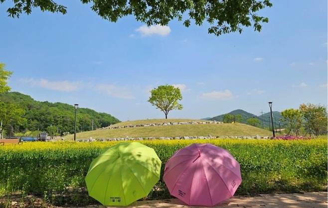 안성 금광호수 '수석정 수변화원'. 사진=안성시청&nbsp;