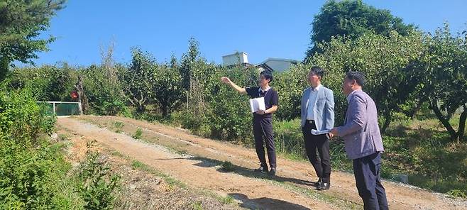 [세종=뉴시스] 조치원읍 봉산리 농지 토지거래허가 이용실태 조사 모습.(사진=세종시). 2024.06.13. *재판매 및 DB 금지