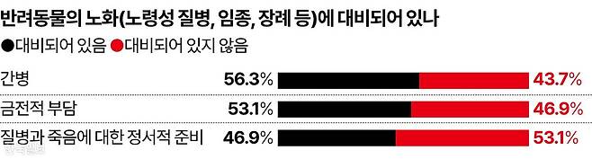 반려동물의 노화(노령성 질병, 임종, 장례 등)에 대비되어 있나 그래픽=강준구 기자