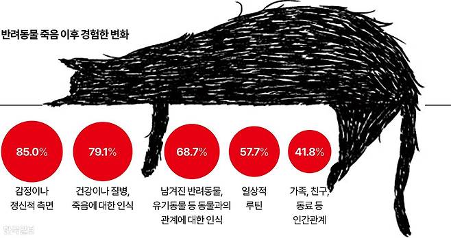 반려동물 죽음 이후 경험한 변화 그래픽=강준구 기자
