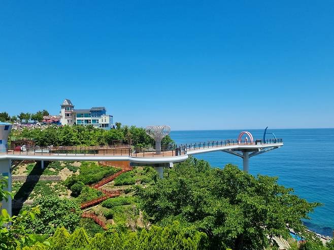 동해 묵호항 도째비골 / 사진 = 모요사