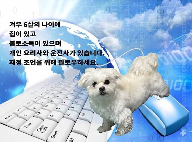 전업 강아지 대표 '뭉뭉이'(인스타그램 moong.x2 제공) ⓒ 뉴스1