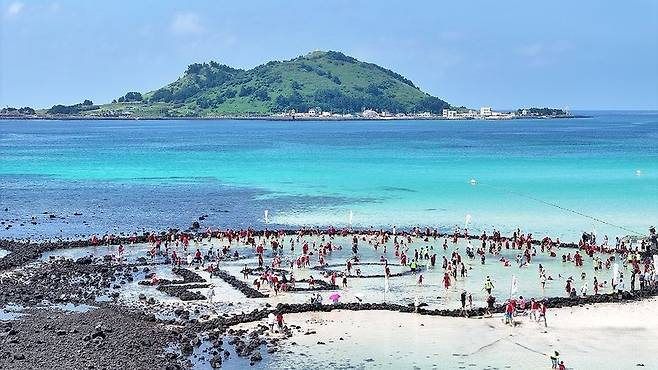 피서객들이 금능해수욕장에서 여름 물놀이를 즐기고 있다. 제주도는 올해 해수욕장 운영기간을 지난해보다 6일 늘린 75일로 확대하고 안전관리 인력을 315명으로 늘린다. /사진=연합뉴스